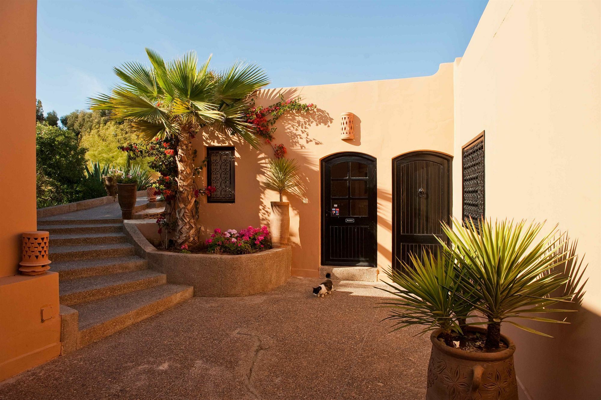 Dar Maktoub Bed & Breakfast Агадир Екстериор снимка